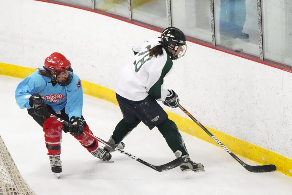 Women's Senior Hockey - Consolation Game - Adirondack vs. Hudson Valley - Feb. 6, 2022
