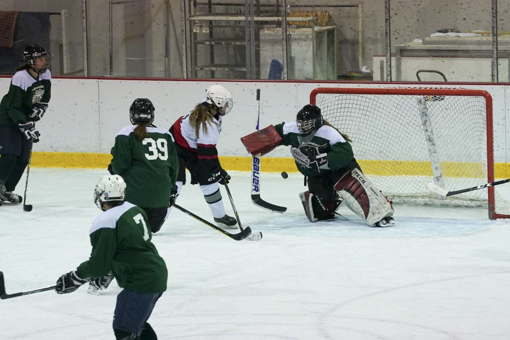 Women's Senior Hockey - Saratoga vs. Adirondack - Feb. 5, 2022 - Olympic Center