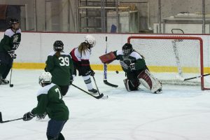 Women's Senior Hockey - Saratoga vs. Adirondack - Feb. 5, 2022 - Olympic Center