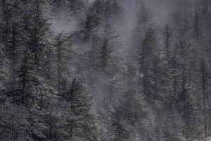 Whiteface Mountain - Scenery - Empire State Winter Games - Feb. 3-6, 2022