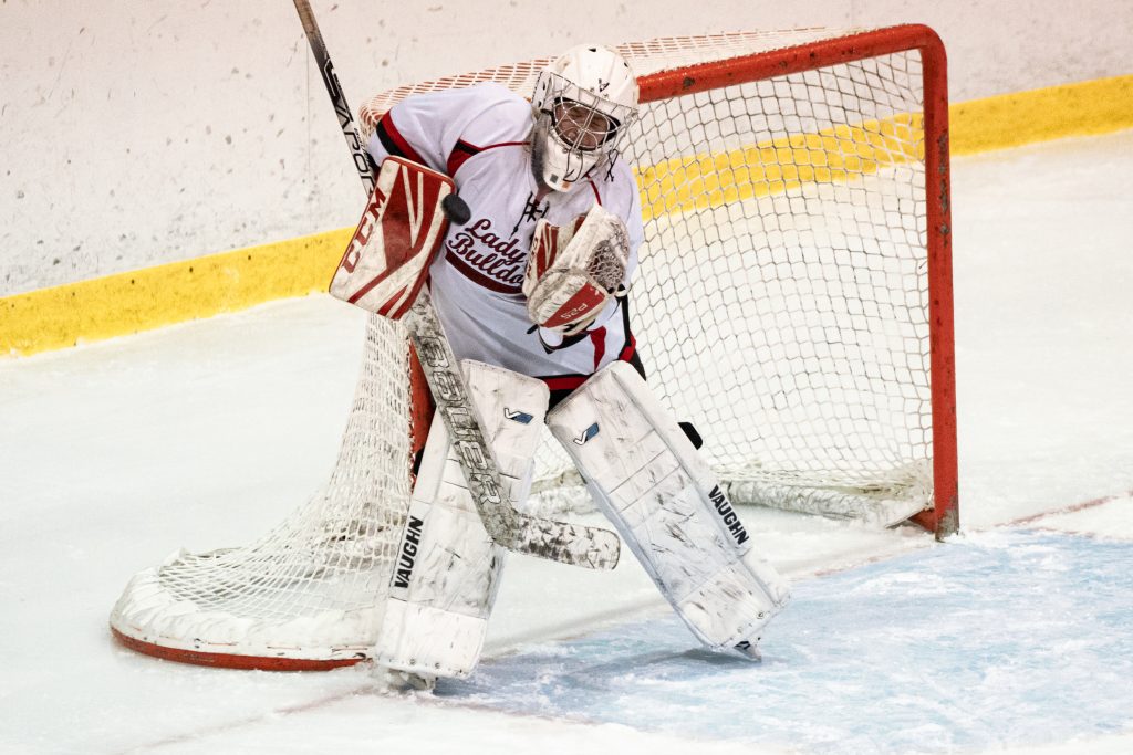 14U Girl's Hockey - Brewster vs. Adirondack 46ers - Saturday, Feb. 5, 2022 - Olympic Center