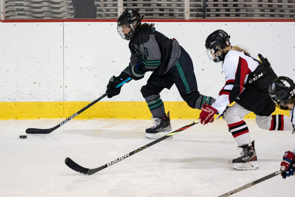 14U Girl's Hockey - Brewster vs. Adirondack 46ers - Saturday, Feb. 5, 2022 - Olympic Center