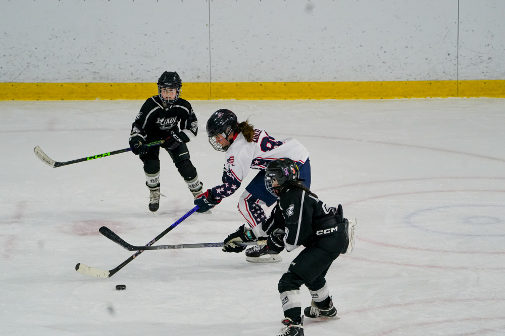 12U Girls Hockey