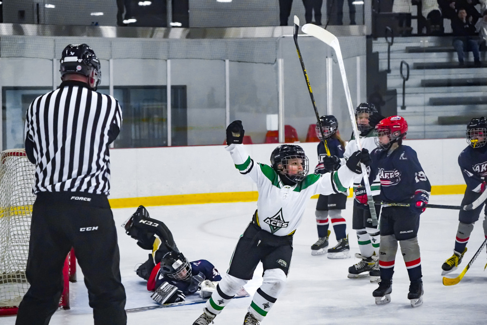 SLP vs Rochester 10U Squirt Ice Hockey Game
