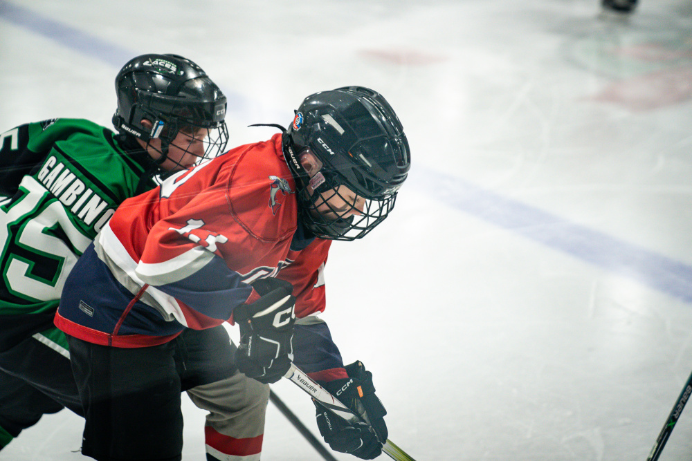 Squirt Hockey